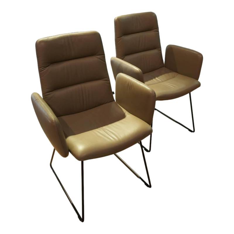 2er-Set Stuhl Arva Light Leder Sauvage Schlammgrau 8103 Drahtkufengestell Strukt... von KFF