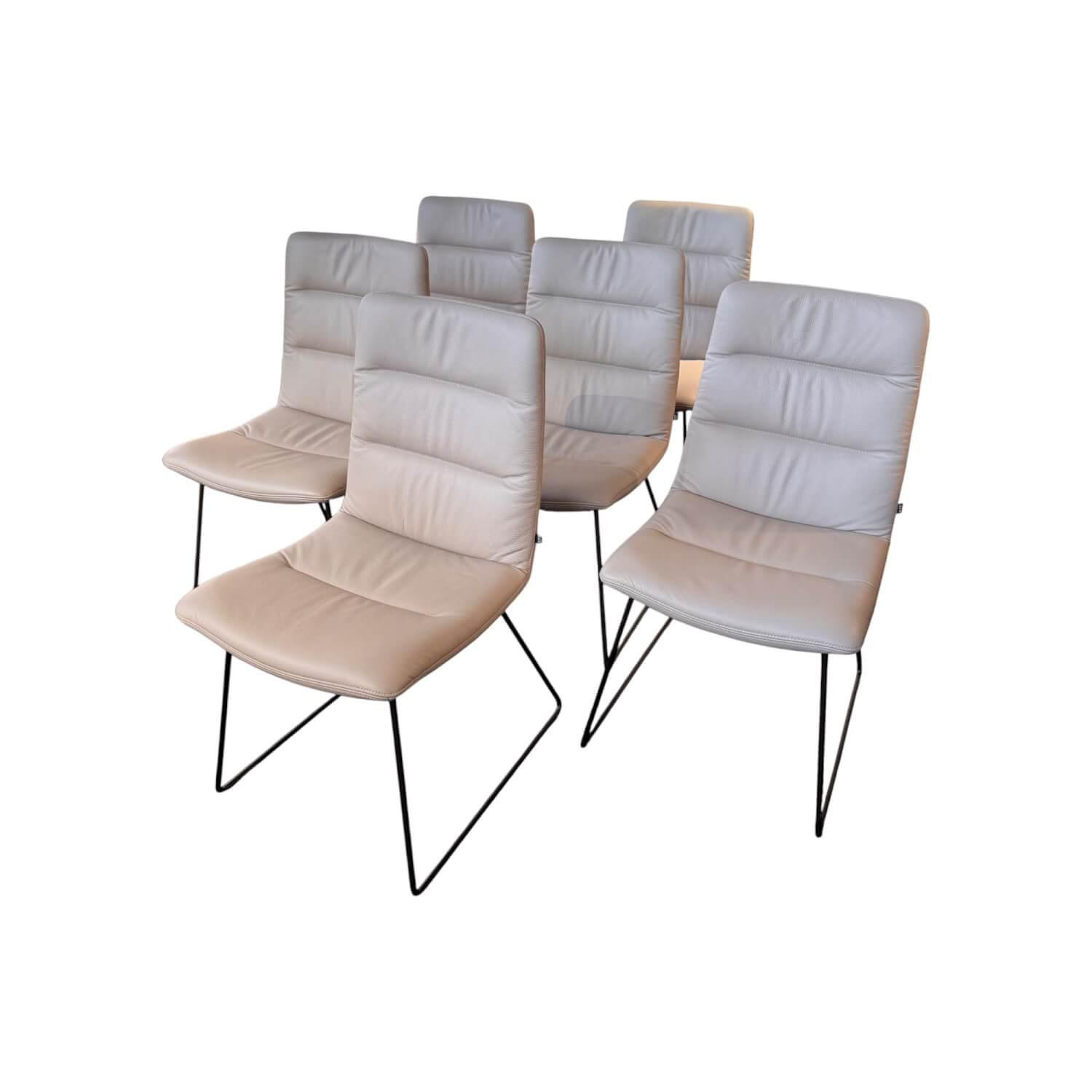 6er Set Stuhl Arva Light Leder Belo Horizonte Steingrau 1651 Grau Drahtkufengest... 6er Set Stuhl Arva Light Leder Belo Horizonte Steingrau 1651 Grau Drahtkufengest... von KFF