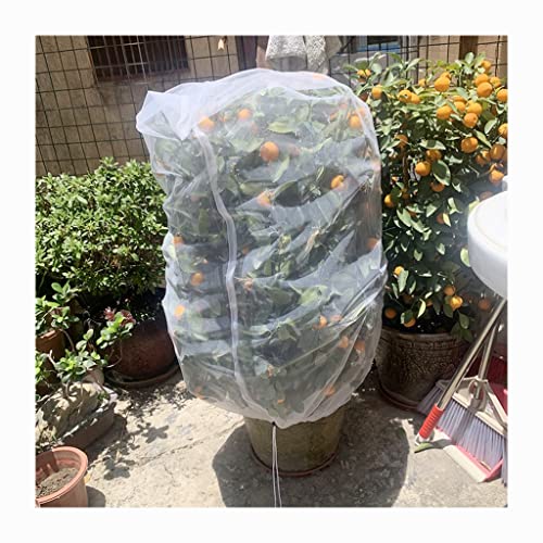 KFGISD, 1 stücke Garten Pflanze Baum Obst Abdeckung Tasche, for Gemüse Schutz Werkzeug Abdeckung Tasche Garten Liefert,Schaumstoff-Netzhüllen(80x80cm) von KFGISD