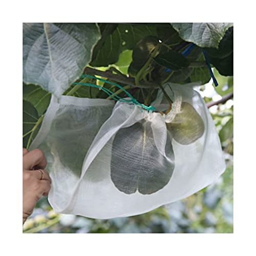 KFGISD, 100 Stück 20 × 30 cm Mesh-Pflanzbeutel aus Nylon, leichtes Kordelzugnetz for Gemüse, Obst und Pflanzen,Schaumstoff-Netzhüllen KFGISD, 100 Stück 20 × 30 cm Mesh-Pflanzbeutel aus Nylon, leichtes Kordelzugnetz for Gemüse, Obst und Pflanzen,Schaumstoff-Netzhüllen von KFGISD