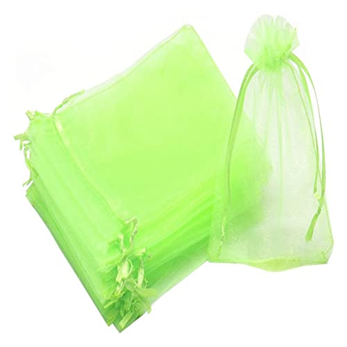KFGISD, 100 Stück Erdbeer-Trauben-Obst-Anbaubeutel, Netzgewebe, Gemüsepflanzenschutzbeutel, for Gartengeräte, Pflanzengartenbedarf,Schaumstoff-Netzhüllen(Green,20x30cm (100 Pcs)) von KFGISD