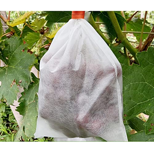 KFGISD, 100 stücke Garten Pflanze Obst Schützen Kordelzug Net Tasche, Mesh Anlage Abdeckung Plastico for Garten,Schaumstoff-Netzhüllen(25cmx32cm) von KFGISD