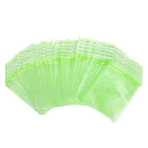 KFGISD, 100PCS Traubenschutzbeutel, for Gartennetzbeutel, landwirtschaftliche Obstgartennetze, Obst- und Gemüsebeutel,Schaumstoff-Netzhüllen(Light Green,17 x 23 cm(100PCS)) von KFGISD