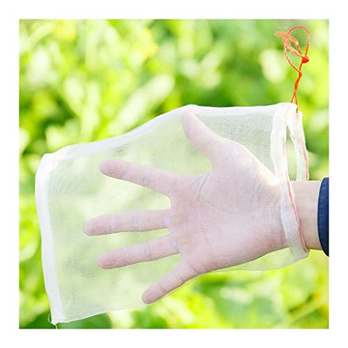 KFGISD, 5 stücke Weiß Atmungsaktive Obst Gemüse Schützen Kordelzug Mesh Net Nylon Tasche,Schaumstoff-Netzhüllen(30cmx20cm) von KFGISD