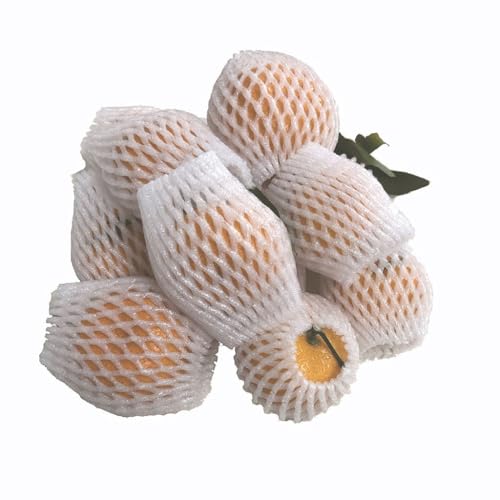 KFGISD, 50 Stück Schaumstoff-Netzhüllentaschen, for stoßfesten Schutz, Transportverpackung, Gemüse, Obst, dicke Netztasche,Schaumstoff-Netzhüllen(8x5CM) von KFGISD