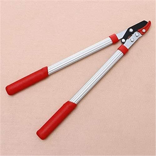 KFGISD, Universal-Gartenschere Astschere Werkzeuge Unkraut Zweig Blume Schneider Zweig Gartenarbeit Beschneiden Schere Gartenschere Gartenschere Werkzeug,Gartenscheren KFGISD, Universal-Gartenschere Astschere Werkzeuge Unkraut Zweig Blume Schneider Zweig Gartenarbeit Beschneiden Schere Gartenschere Gartenschere Werkzeug,Gartenscheren von KFGISD