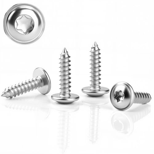 80 Stück Blechschrauben Edelstahl M3x10mm Linsenkopfschrauben Holz Tellerkopfschrauben Holzschrauben Flachkopf mit Scheibe 304 Rostfrei Selbstschneidende Torx A2 V2A Schrauben Vollgewinde(Silber) von KGGZKG