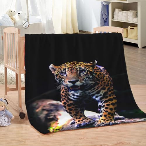 Decken Fiir Sofa 3D Tier Leopard Muster Kuscheldecke Wohndecke Tagesdecke 180x200Cm Sherpa-Decke Für Couch, Superweiche Sofadecke Für Erwachsene Und Kinder von KGSK