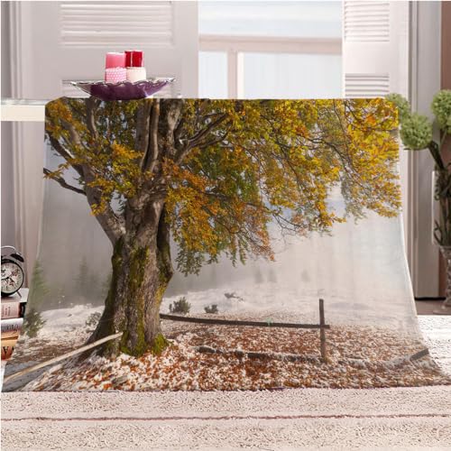 Flanelldecke 150x200Cm Decke Sofa Kuscheldecke Flauschige Decke 3D Baum Winter Schnee Wohndecke Blanket Weich Und Warme Als Sofadecke Couchdecke Tagesdecke Flanell von KGSK