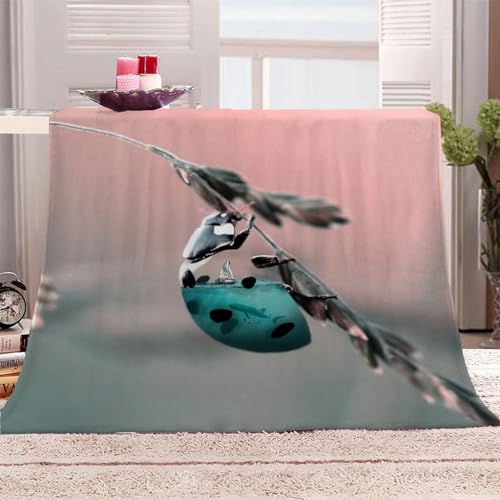 Flanelldecke 150x200Cm Decke Sofa Kuscheldecke Flauschige Decke 3D Kreatives Segelboot Wohndecke Blanket Weich Und Warme Als Sofadecke Couchdecke Tagesdecke Flanell Flanelldecke 150x200Cm Decke Sofa Kuscheldecke Flauschige Decke 3D Kreatives Segelboot Wohndecke Blanket Weich Und Warme Als Sofadecke Couchdecke Tagesdecke Flanell von KGSK