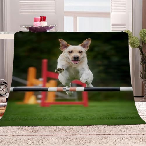 Flanelldecke 150x200Cm Decke Sofa Kuscheldecke Flauschige Decke 3D Tier Hund Kreuz Wohndecke Blanket Weich Und Warme Als Sofadecke Couchdecke Tagesdecke Flanell Flanelldecke 150x200Cm Decke Sofa Kuscheldecke Flauschige Decke 3D Tier Hund Kreuz Wohndecke Blanket Weich Und Warme Als Sofadecke Couchdecke Tagesdecke Flanell von KGSK