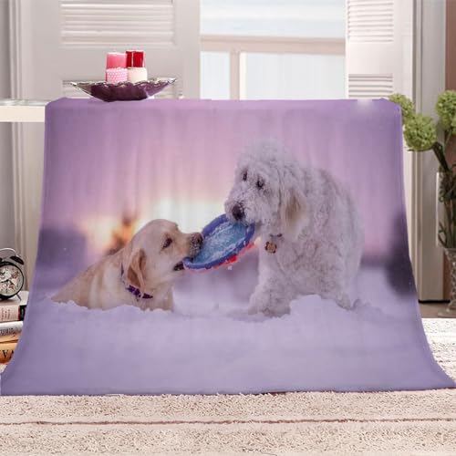 Flanelldecke 180x220Cm Kuscheldecke 3D Tier Hund Schnee Wohndecke Groß Hochwertige Sommer Winter Warme Bett Wohndecke Sofaüberwurf Decke Tagesdecke Weich Flanelldecke 180x220Cm Kuscheldecke 3D Tier Hund Schnee Wohndecke Groß Hochwertige Sommer Winter Warme Bett Wohndecke Sofaüberwurf Decke Tagesdecke Weich von KGSK