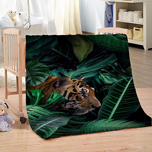 Flanelldecke Klein Dschungeltiere Tiger Junge Teenager Mädchen Extra Weich Wohndecke Mikrofaser Kuscheldecke 80x100Cm Druck Wohndecke Fleece Sofadecke Für Kinder&Erwachsene Digitaldruck Flanelldecke Klein Dschungeltiere Tiger Junge Teenager Mädchen Extra Weich Wohndecke Mikrofaser Kuscheldecke 80x100Cm Druck Wohndecke Fleece Sofadecke Für Kinder&Erwachsene Digitaldruck von KGSK