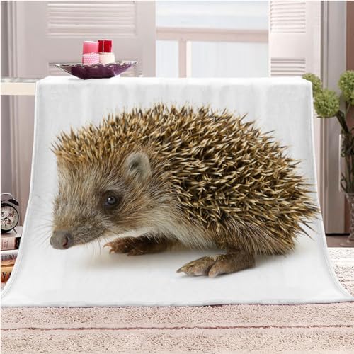 Flanelldecke Klein Tier Eigel Druck Junge Teenager Mädchen Extra Weich Wohndecke Mikrofaser Kuscheldecke 80x100Cm Druck Wohndecke Fleece Sofadecke Für Kinder&Erwachsene Digitaldruck von KGSK