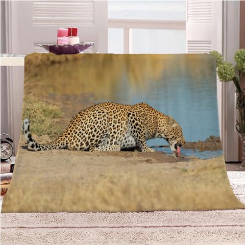 Flanelldecke Klein Tier Leopard Junge Teenager Mädchen Extra Weich Wohndecke Mikrofaser Kuscheldecke 80x100Cm Druck Wohndecke Fleece Sofadecke Für Kinder&Erwachsene Digitaldruck Flanelldecke Klein Tier Leopard Junge Teenager Mädchen Extra Weich Wohndecke Mikrofaser Kuscheldecke 80x100Cm Druck Wohndecke Fleece Sofadecke Für Kinder&Erwachsene Digitaldruck von KGSK