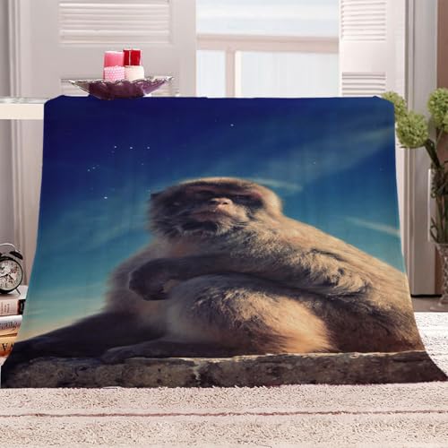 Flanelldecke Klein Tiere Affen Junge Teenager Mädchen Extra Weich Wohndecke Mikrofaser Kuscheldecke 80x100Cm Druck Wohndecke Fleece Sofadecke Für Kinder&Erwachsene Digitaldruck von KGSK