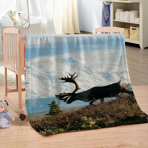 Flanelldecke Klein Tierhirsche Junge Teenager Mädchen Extra Weich Wohndecke Mikrofaser Kuscheldecke 80x100Cm Druck Wohndecke Fleece Sofadecke Für Kinder&Erwachsene Digitaldruck von KGSK