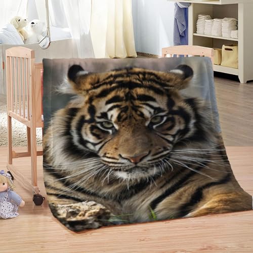 Wohndecke 3D Tier Tiger Druck Kuscheldecke 130x150Cm Warmer Winter Weich Sherpa Wohndecke Flauschige Couchdecke Für Erwachsene Sofadecke Decke Für Kinder Jungen Erwachsene Wohndecke 3D Tier Tiger Druck Kuscheldecke 130x150Cm Warmer Winter Weich Sherpa Wohndecke Flauschige Couchdecke Für Erwachsene Sofadecke Decke Für Kinder Jungen Erwachsene von KGSK