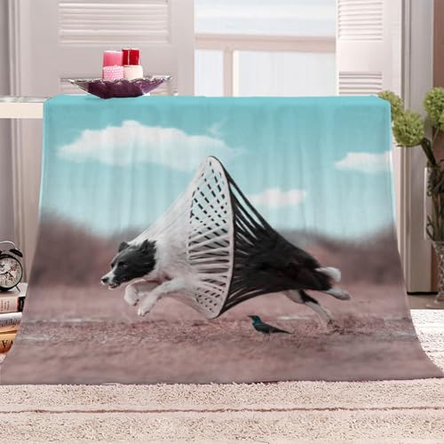 Wohndecke 3D Tierhunde Ideen Kuscheldecke 130x150Cm Warmer Winter Weich Sherpa Wohndecke Flauschige Couchdecke Für Erwachsene Sofadecke Decke Für Kinder Jungen Erwachsene Wohndecke 3D Tierhunde Ideen Kuscheldecke 130x150Cm Warmer Winter Weich Sherpa Wohndecke Flauschige Couchdecke Für Erwachsene Sofadecke Decke Für Kinder Jungen Erwachsene von KGSK