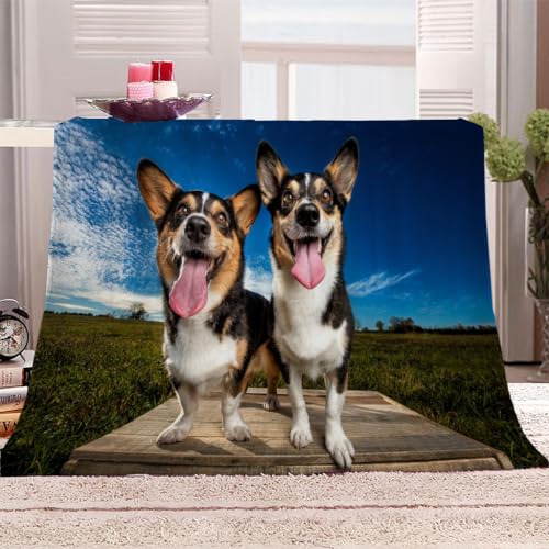 Wohndecke 3D Tierhunde Kuscheldecke 130x150Cm Warmer Winter Weich Sherpa Wohndecke Flauschige Couchdecke Für Erwachsene Sofadecke Decke Für Kinder Jungen Erwachsene Wohndecke 3D Tierhunde Kuscheldecke 130x150Cm Warmer Winter Weich Sherpa Wohndecke Flauschige Couchdecke Für Erwachsene Sofadecke Decke Für Kinder Jungen Erwachsene von KGSK