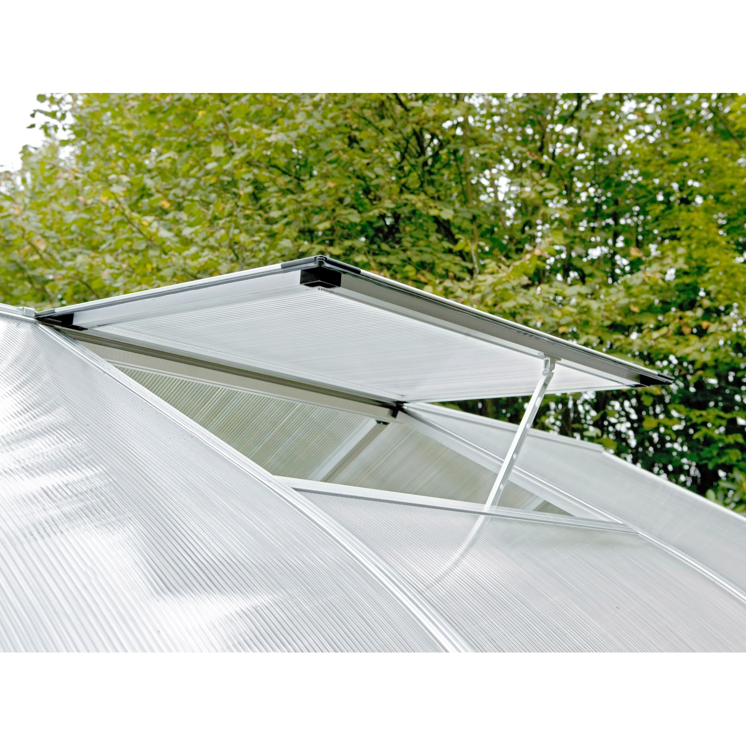 Dachfenster für KGT-Gewächshäuser mit 10 mm Verglasungsstärke Moosgrün von KGT