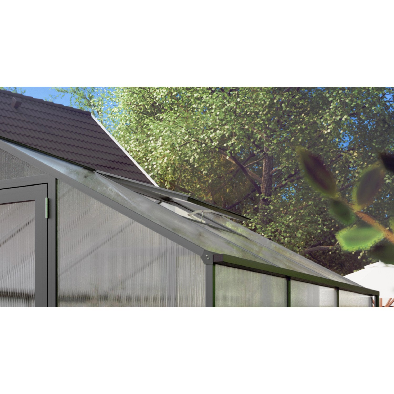 KGT zusätzliches Dachfenster für gewächshaus Tulpe Anthrazit-Grau von KGT