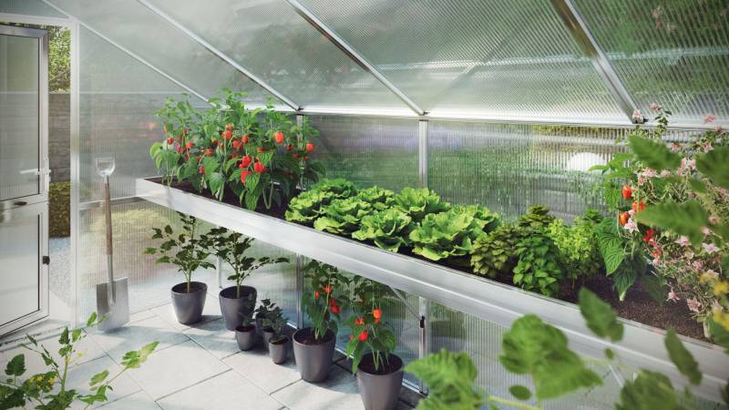 Pflanzwanne für Gewächshaus Ortasia von KGT