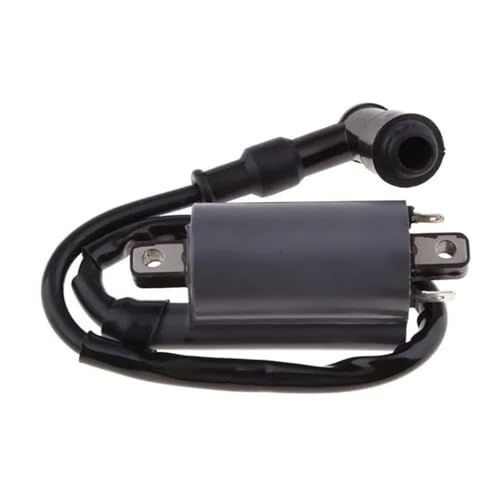 KGVBZBR Zündspule ist passend for Buyang 260 260cc 300cc D300 G300 Motor KGVBZBR Zündspule ist passend for Buyang 260 260cc 300cc D300 G300 Motor von KGVBZBR