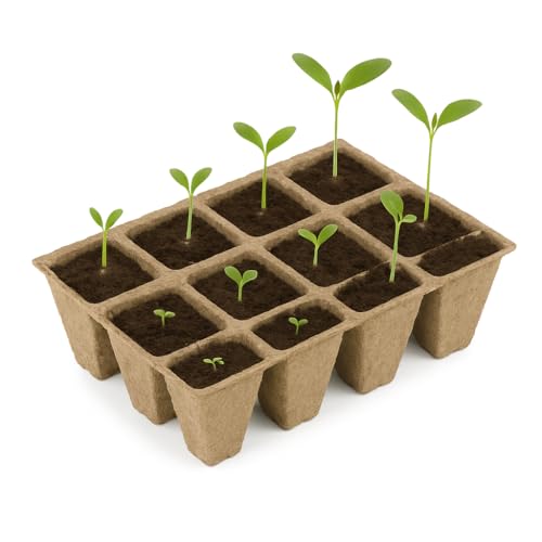 Anzuchttöpfe aus Zellulose Höhe 5 cm zur Anzucht von Pflanzen Pikiertöpfe biologisch abbaubarer Pflanztopf Anzuchttopf für Garten Balkon Terrasse Beet Hochbeet Kräutergarten Gewächshaus (240) von PGONA