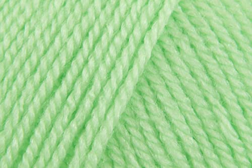 Stylecraft Special DK Spring Green 1316 100g von KHASO