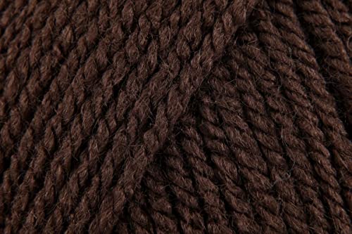 Stylecraft Spezial Aran Häkelgarn, superweiche 100% Acryl Häkelstrickwolle für Decken Kissenbezüge - 100g Knäuel - Dunkelbraun (1004) - 3 Stück von KHASO