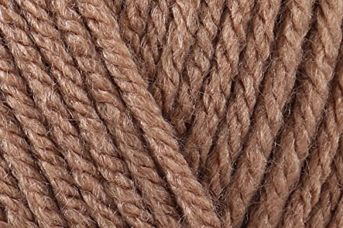 Stylecraft Spezial Aran Häkelgarn, superweiche 100% Acryl Häkelstrickwolle für Decken Kissenbezüge - 100g Knäuel - Mokka (1064) - 3 Stück von KHASO