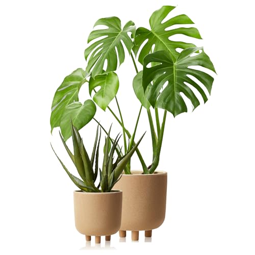 KHG Übertopf Braun rund, 2er Set in Größe S & M, körnige Oberfläche, 3 kurze Beine, Höhe 18,5 & 23,5 cm, Blumentopf Sandkornstruktur, wasserfest, Eignung innen, natürlich, Landhaus, Boho, Ethno KHG Übertopf Braun rund, 2er Set in Größe S & M, körnige Oberfläche, 3 kurze Beine, Höhe 18,5 & 23,5 cm, Blumentopf Sandkornstruktur, wasserfest, Eignung innen, natürlich, Landhaus, Boho, Ethno von KHG