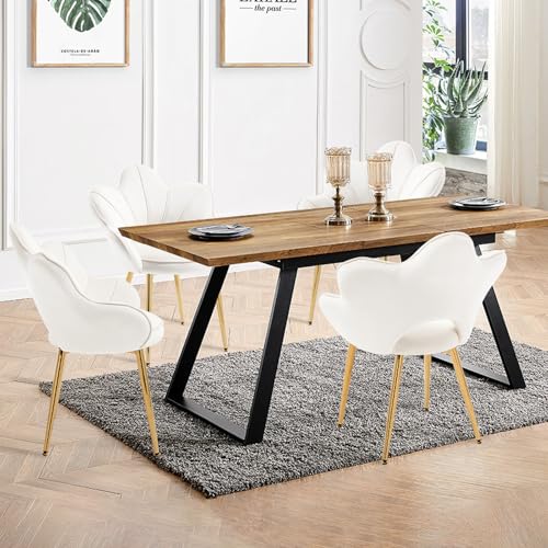 KHISCHMO Esszimmerstühle mit Armlehnen 2er-Set Samt Schminktisch Stuhl mit Blütenblatt-Rückenlehne Moderner Muschel Loungesessel mit verstellbaren Goldbeinen für Wohnzimmer & Schlafzimmer, Weiß KHISCHMO Esszimmerstühle mit Armlehnen 2er-Set Samt Schminktisch Stuhl mit Blütenblatt-Rückenlehne Moderner Muschel Loungesessel mit verstellbaren Goldbeinen für Wohnzimmer & Schlafzimmer, Weiß von KHISCHMO