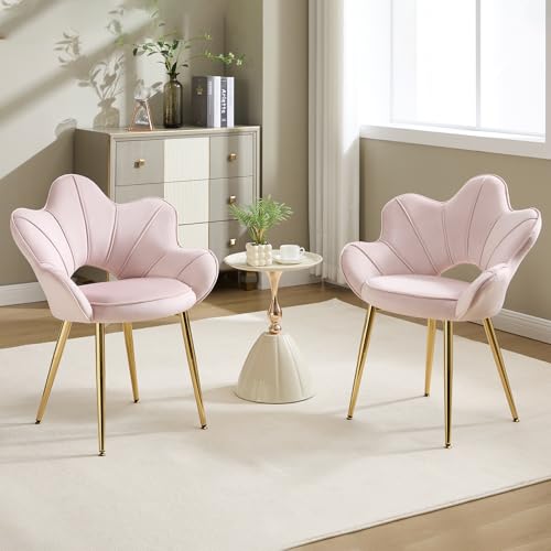 KHISCHMO Esszimmerstühle mit Armlehnen 2er-Set Samt Schminktisch Stuhl mit Blütenblatt-Rückenlehne Moderner Muschel Loungesessel mit verstellbaren Goldbeinen für Wohnzimmer & Schlafzimmer, Rosa KHISCHMO Esszimmerstühle mit Armlehnen 2er-Set Samt Schminktisch Stuhl mit Blütenblatt-Rückenlehne Moderner Muschel Loungesessel mit verstellbaren Goldbeinen für Wohnzimmer & Schlafzimmer, Rosa von KHISCHMO