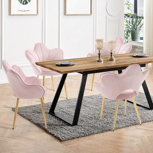 KHISCHMO Esszimmerstühle mit Armlehnen 4er-Set Samt Schminktisch Stuhl mit Blütenblatt-Rückenlehne Moderner Muschel Loungesessel mit verstellbaren Goldbeinen für Wohnzimmer & Schlafzimmer, Rosa KHISCHMO Esszimmerstühle mit Armlehnen 4er-Set Samt Schminktisch Stuhl mit Blütenblatt-Rückenlehne Moderner Muschel Loungesessel mit verstellbaren Goldbeinen für Wohnzimmer & Schlafzimmer, Rosa von KHISCHMO