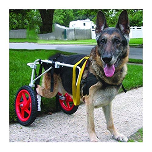 KHUY Rollstuhl für Große Hunde Hunderollstuhl Hintere Extremitäten Pet Wagenhunde-radstuhl Hinterbeine Rehabilitation, Walkin-räder Helfen Ihnen Harness (Size : Large) von KHUY