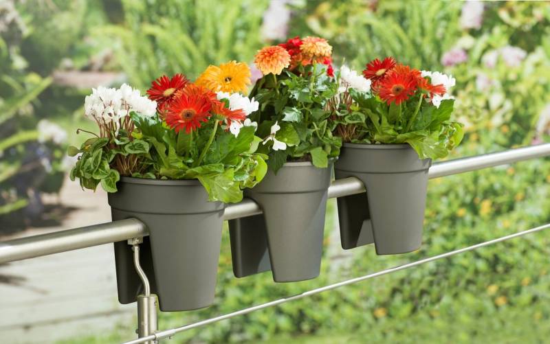 KHW Balkonkasten Flowerclip (Set, 3 St), ØxH: 27x27,5 cm von KHW