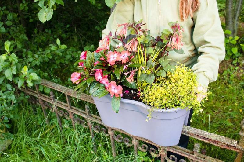 KHW Balkonkasten Flowerclip XXL (Set, 2 St), BxTxH: 57,5x27,7x27 cm von KHW