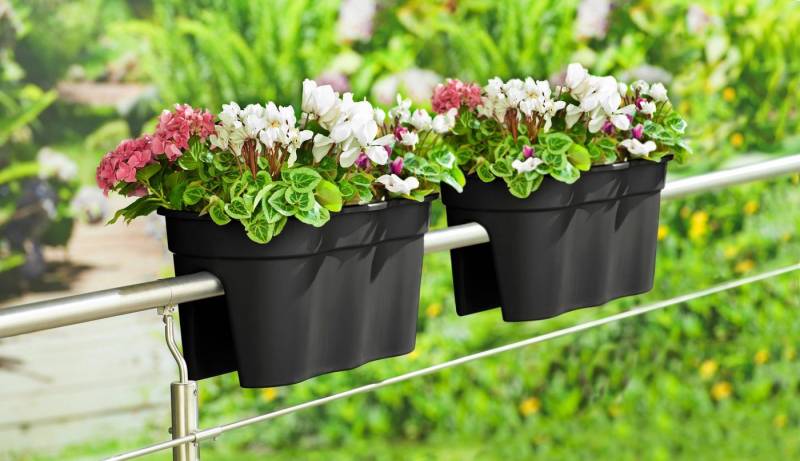 KHW Balkonkasten Flowerclip XXL (Set, 2 St), BxTxH: 57,5x27,7x27 cm von KHW