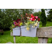 KHW Balkonkasten "Flowerclip XXL" BxTxH: 57,5x27,7x27 cm von KHW