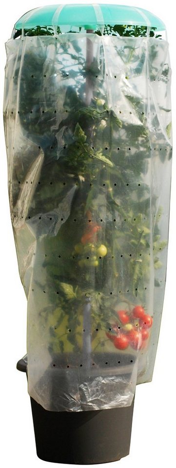 KHW Pflanzenschutzdach Tomatenhut, inkl. Stab und Schutzfolie, BxH: 49x120 cm von KHW