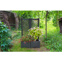 KHW Pflanzkasten 43 cm mit Spalier, anthrazit - 2er Set von KHW
