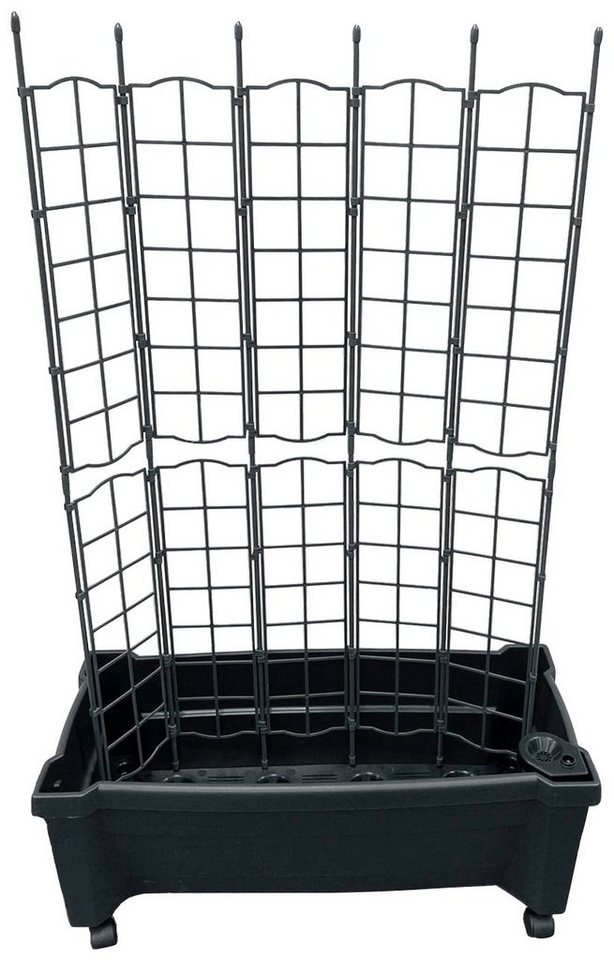 KHW Spalier Calypso, BxTxH: 79x35x115 cm, Pflanzkasten mit Rollen und Bewässerungssystem von KHW