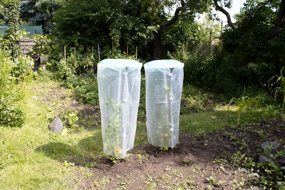 KHW Tomatenhut 2er Set KHW Tomatenhut 2er Set von KHW