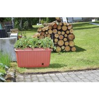 Pflanzkasten "Ambizioso" mit Rollen, terra von KHW