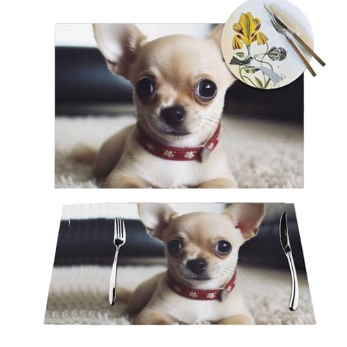 Gewebte Platzsets, hitzebeständig, niedlicher Chihuahua, 1 Stück, waschbar, Tischmatten für Esstisch, Platzmatte für Küche, Picknick, Party Gewebte Platzsets, hitzebeständig, niedlicher Chihuahua, 1 Stück, waschbar, Tischmatten für Esstisch, Platzmatte für Küche, Picknick, Party von KHiry