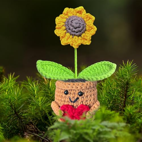 KIAYOO Pocket Hug Sonnenblumen,Gehäkelte Blumen mit lächelndem Gesicht, Positive Mutmacher Gute Besserung Glücksbringer Prüfung Geschenk für Ihn Frauen Männer Freund Geburtstag Weihnachten KIAYOO Pocket Hug Sonnenblumen,Gehäkelte Blumen mit lächelndem Gesicht, Positive Mutmacher Gute Besserung Glücksbringer Prüfung Geschenk für Ihn Frauen Männer Freund Geburtstag Weihnachten von KIAYOO