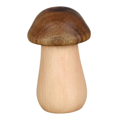 KICHOUSE Holz Zahnstocherbox Pilzform Kompakter Zahnstocherspender Stabiler Aufbewahrungsbehälter für Haushalt Praktische Tischdekoration Geeignet für Esszimmer und Küche von KICHOUSE