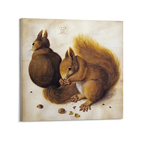 KIHENE Albrecht Durer Maler-Kunstwerk – (Eichhörnchen) Druckposter Kunstdruck Wand Foto Farbe Hängendes Bild Familie Schlafzimmer Dekor Geschenk 40 x 40 cm von KIHENE